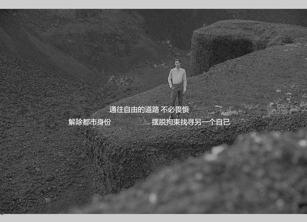 林埭镇: 以“大综合一体化”助力打造城乡融合示范镇